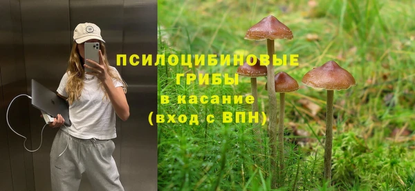 гидра Балахна