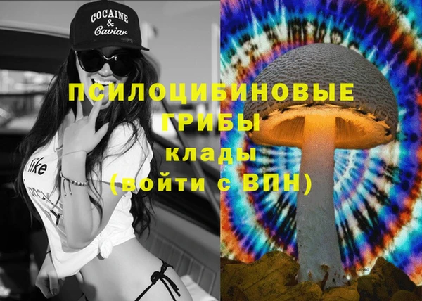 гидра Балахна