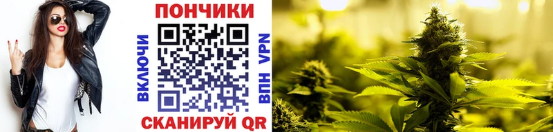 Бошки марихуана VHQ  Лесной 